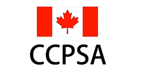 Especificação do teste de brinquedo CCPSA Canadá